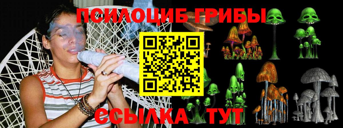 Северобайкальск  Псилоцибиновые грибы мицелий  Галлюциногенные грибы Psilocybe  Вход с VPN 